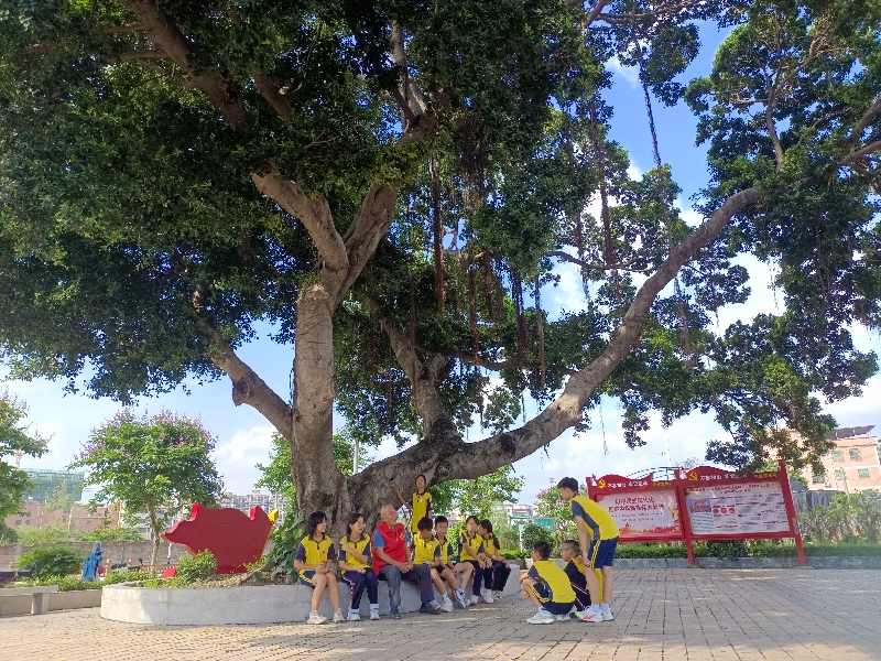 图：凤溪社区参战老兵在榕树下讲述凤溪革命历史.jpg