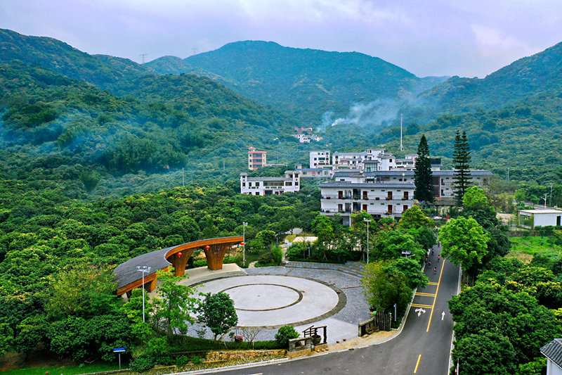 南平村航拍.png